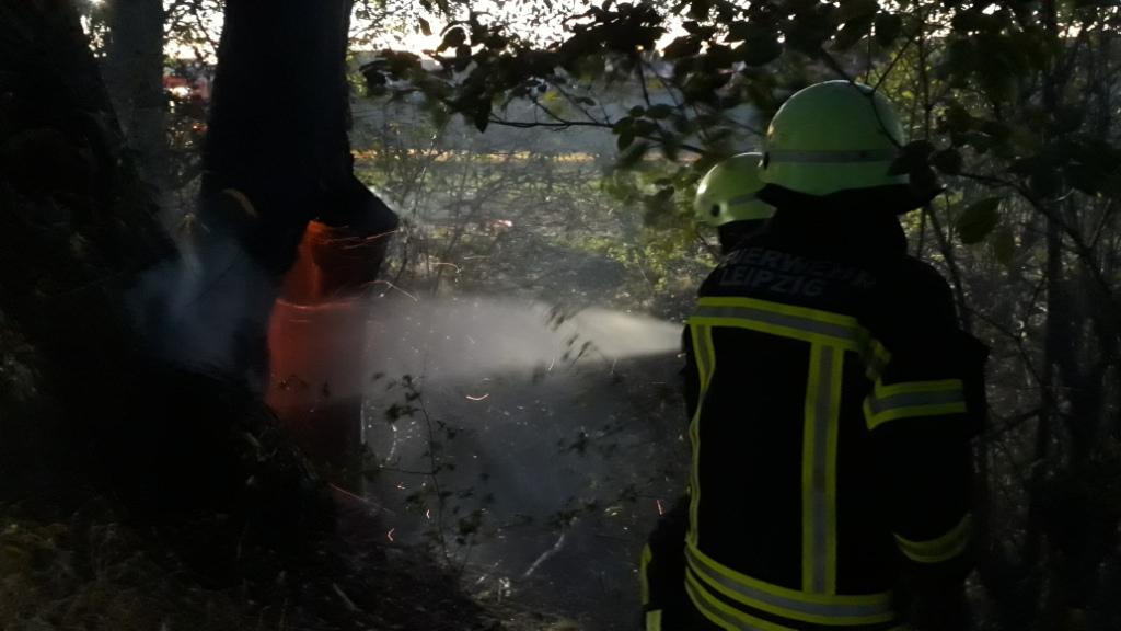 20180929 Baumbrand Podelwitzer Straße 10